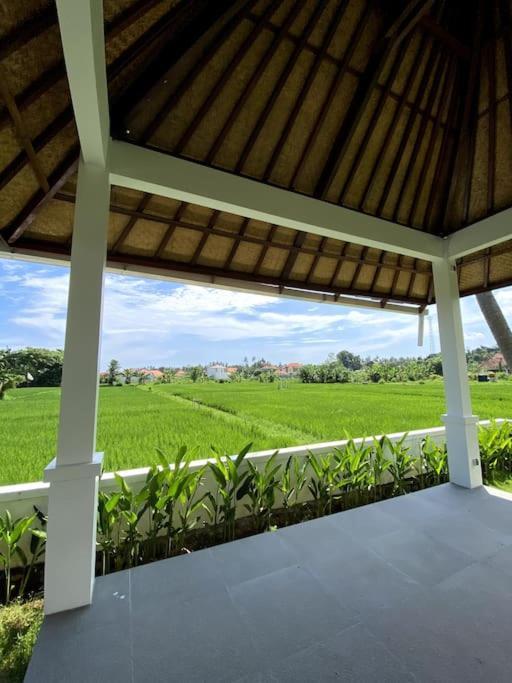 Villa Vespa Lovina Extérieur photo